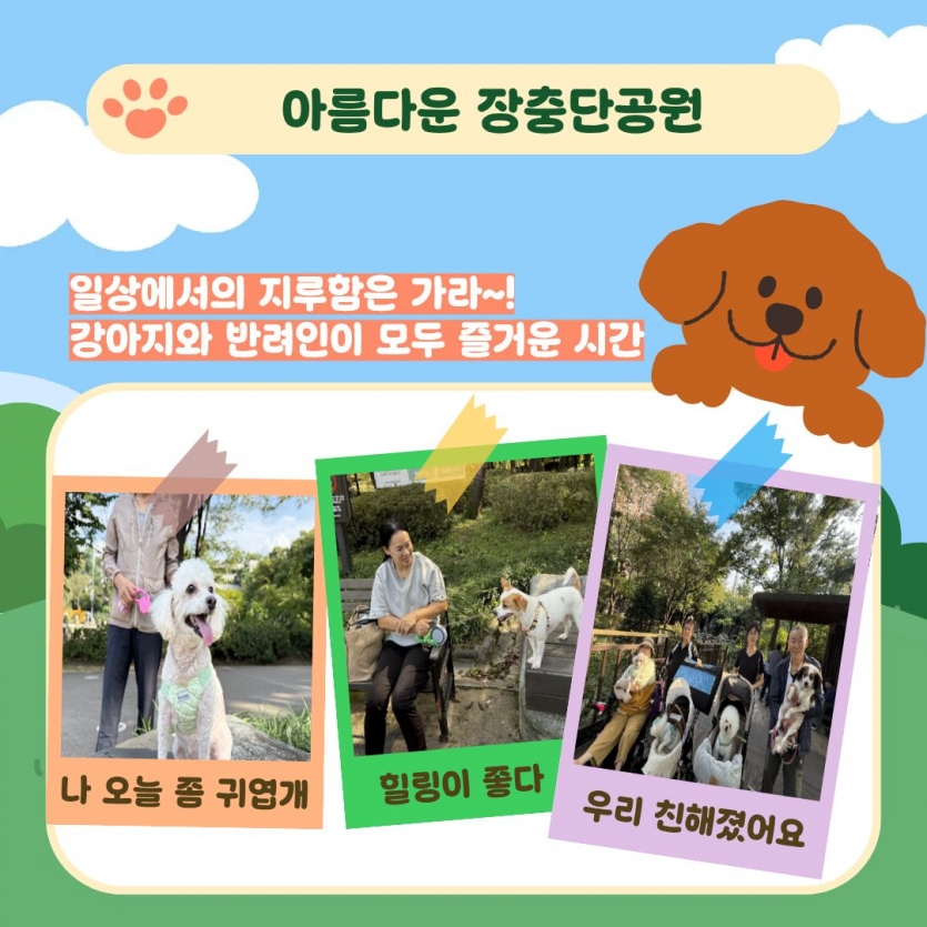 아름다운 장충단공원, 일상에서의 지루함은 가라~! 강아지와 반려인이 모두 즐거운 시간, 나 오늘 좀 귀엽개, 힐리이 좋다, 우린 친해졌어요