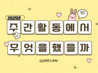 2025년 5월의 주간활동은 무엇을 했을까