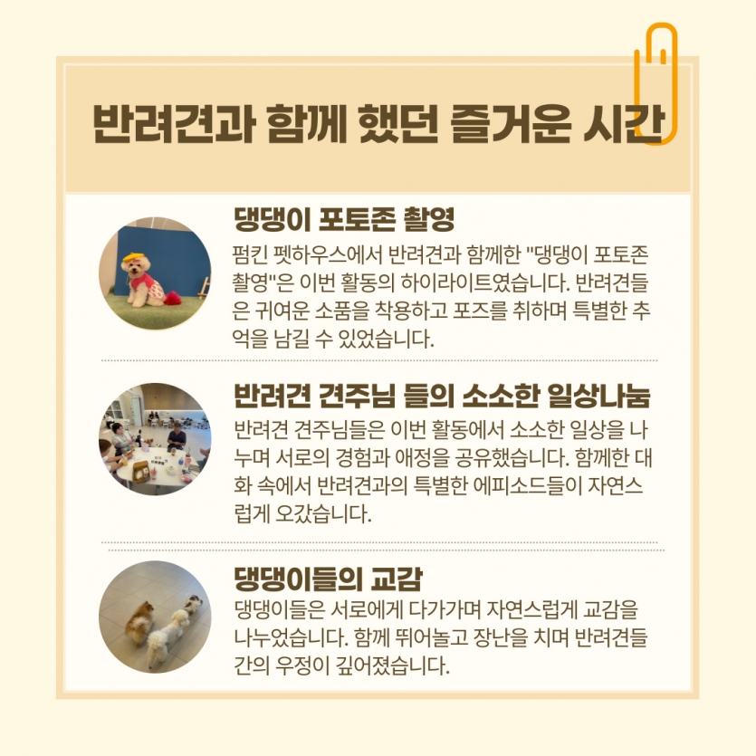 반려견과 함께 했던 즐거운 시간 1.댕댕이 포토존 촬영, 2.반려견 견주님 들의 소소한 일상나눔, 3.댕댕이들의 교감